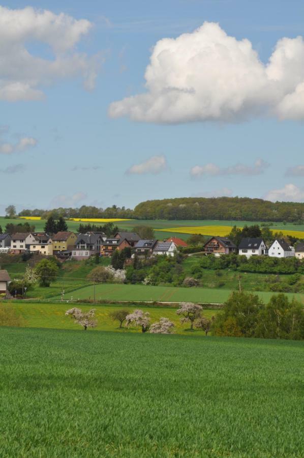 Ferienwohnung Roter Kater Am Nationalpark Eifel Bergbuir Экстерьер фото